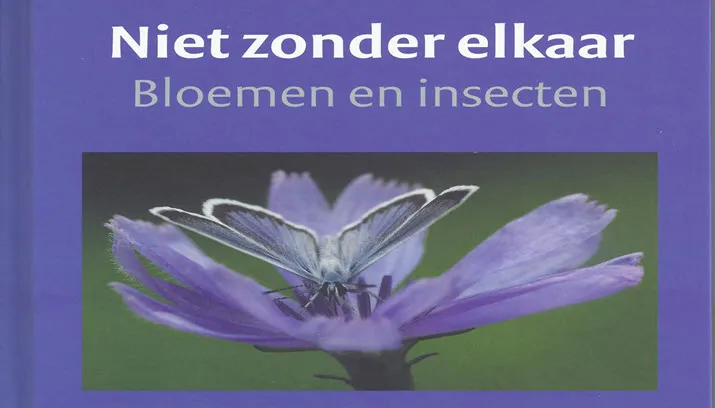 niet zonder elkaar louis schoonhoven