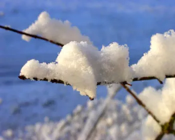 nm92tpy8z1uowmvk0ehe2nom9 192504