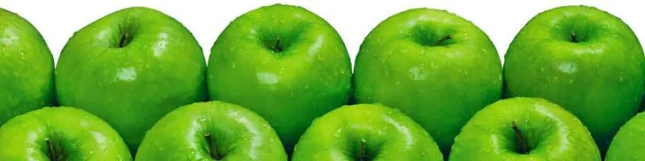 nr89wel2ysd3g2j6lct1ofbq1 wiwika2