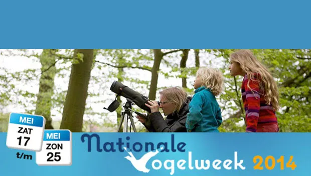 ny9ewa267ak115zwghzfna93v vogelweek