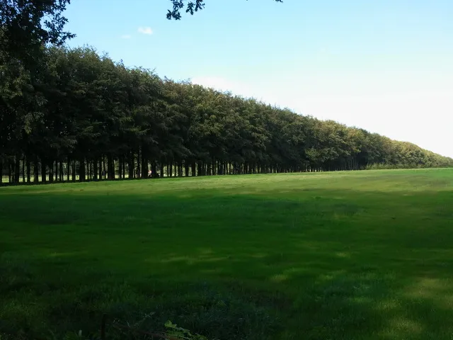 nztednngyztj7m1bmix4u53hy 83179