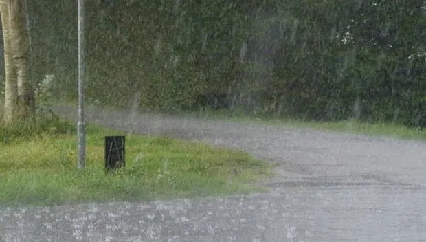 ocmiko7bhy49ur1cisojgx9l5 regen