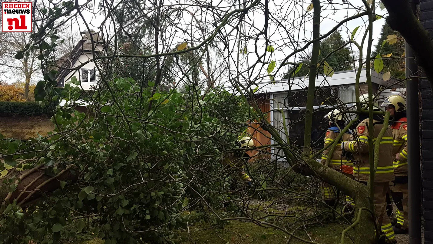 omgevallen boom den bruil velp