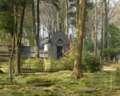 onw7ohr36cngk3x54r3s07tgf 230498