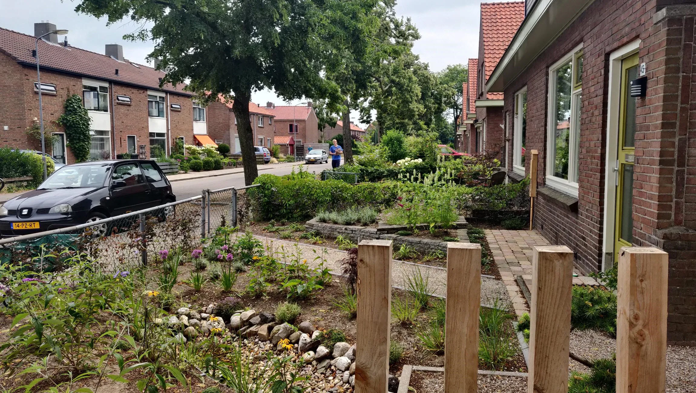 operatie steenbreek dieren berend poppema