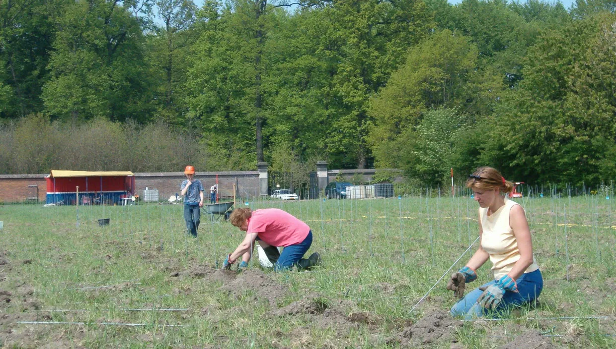 p20q51wdy3e3les8z2k048st6 domeinhof2004