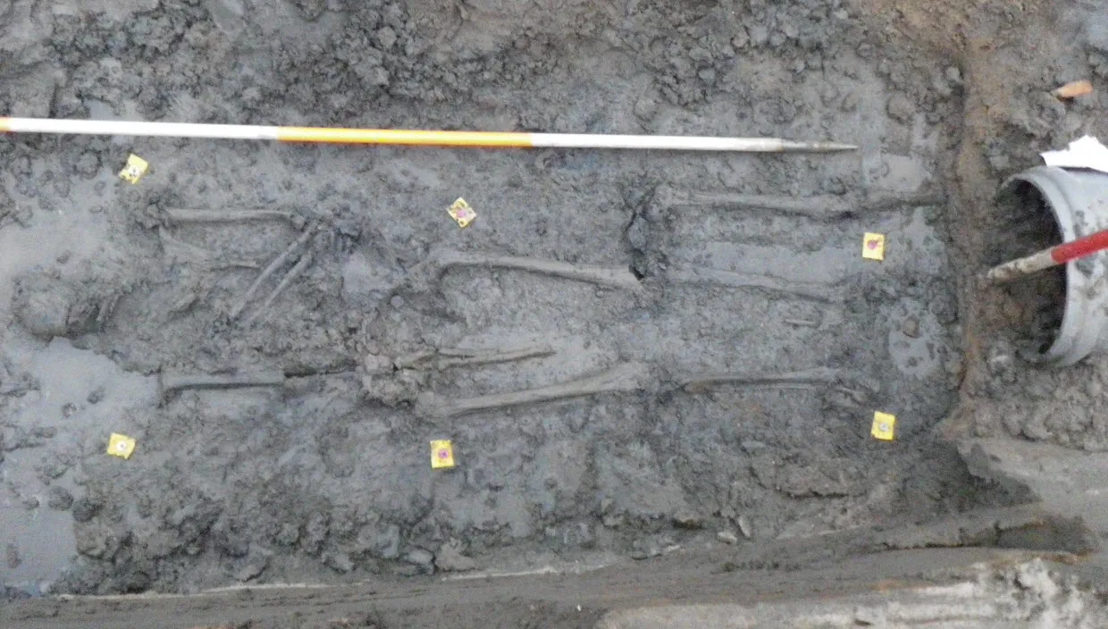 p6ctrgjvc0vs0x886r3xahcsm archeologie