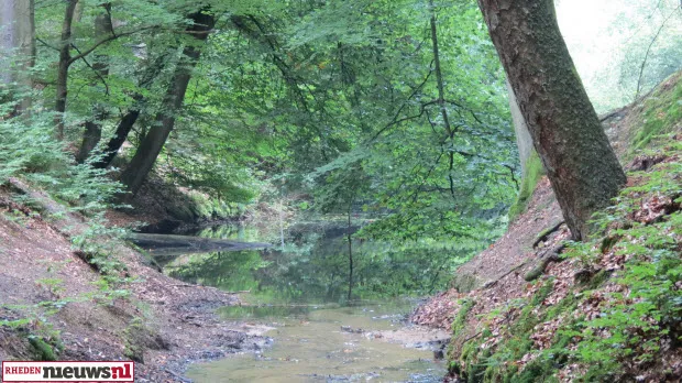 p81df0tjt4hsqqp95srwri2mv natuur veluwezoom