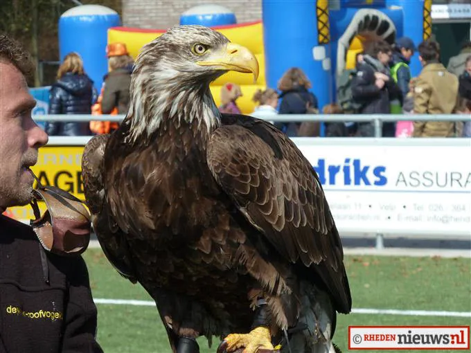 pd4co5v2p458ny78uhva0697e 223105