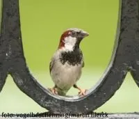 pe8d6bgtk21lq6ycojiii8snf 140361