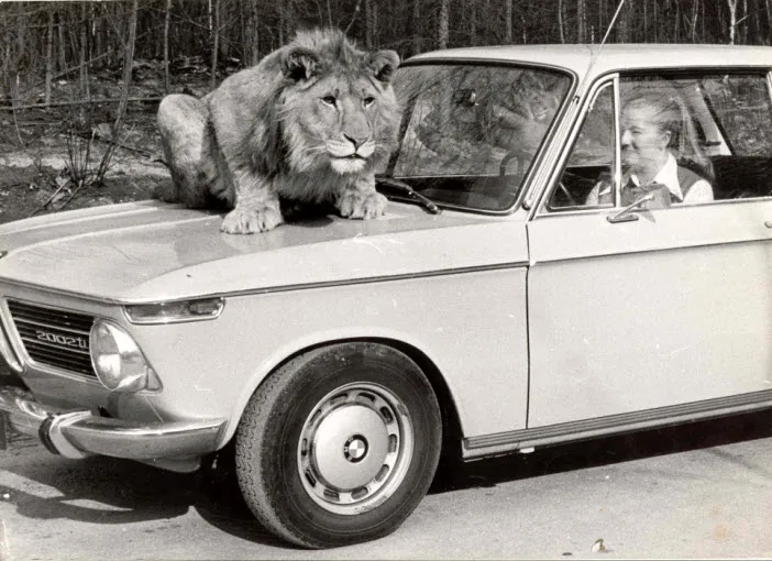 pl6kijxy20ke7zmgp0hfm9tcm 202830