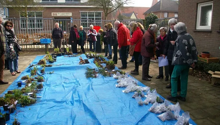 plantenruilbeurs groei bloei veluwezoom