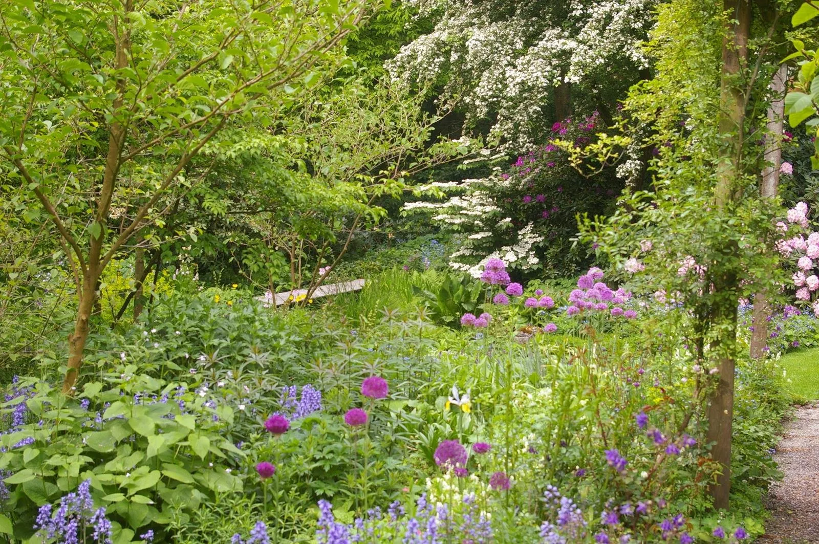 plantenruilbeurs groei bloei veluwezoom1