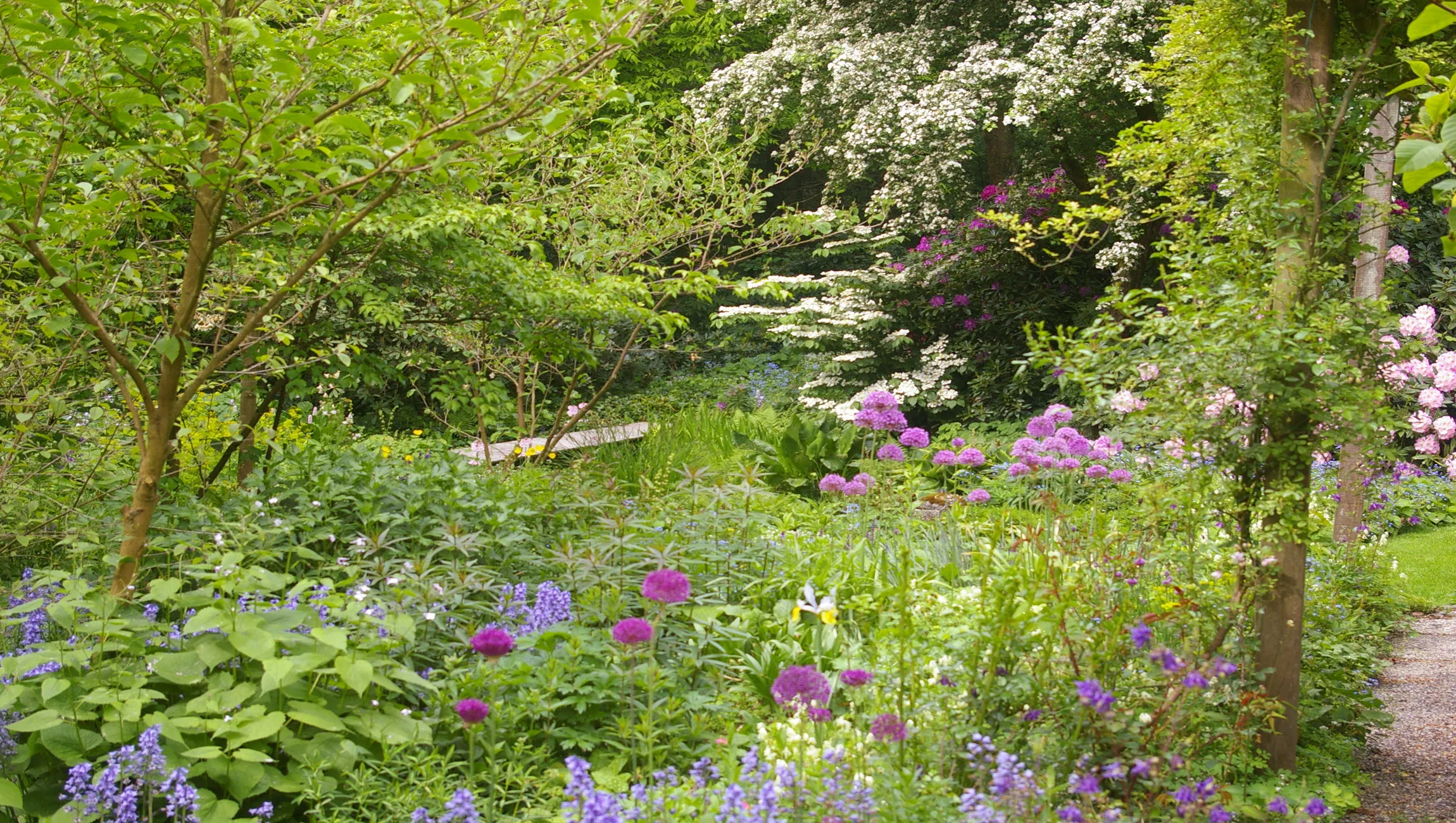 plantjesmarkt groei bloei veluwezoom tineke mkel3