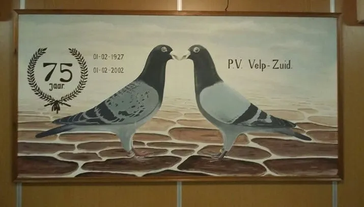 postduiven vereniging velp zuid 1