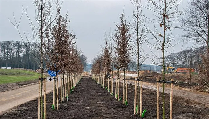 postroute hof te dieren traverse dieren