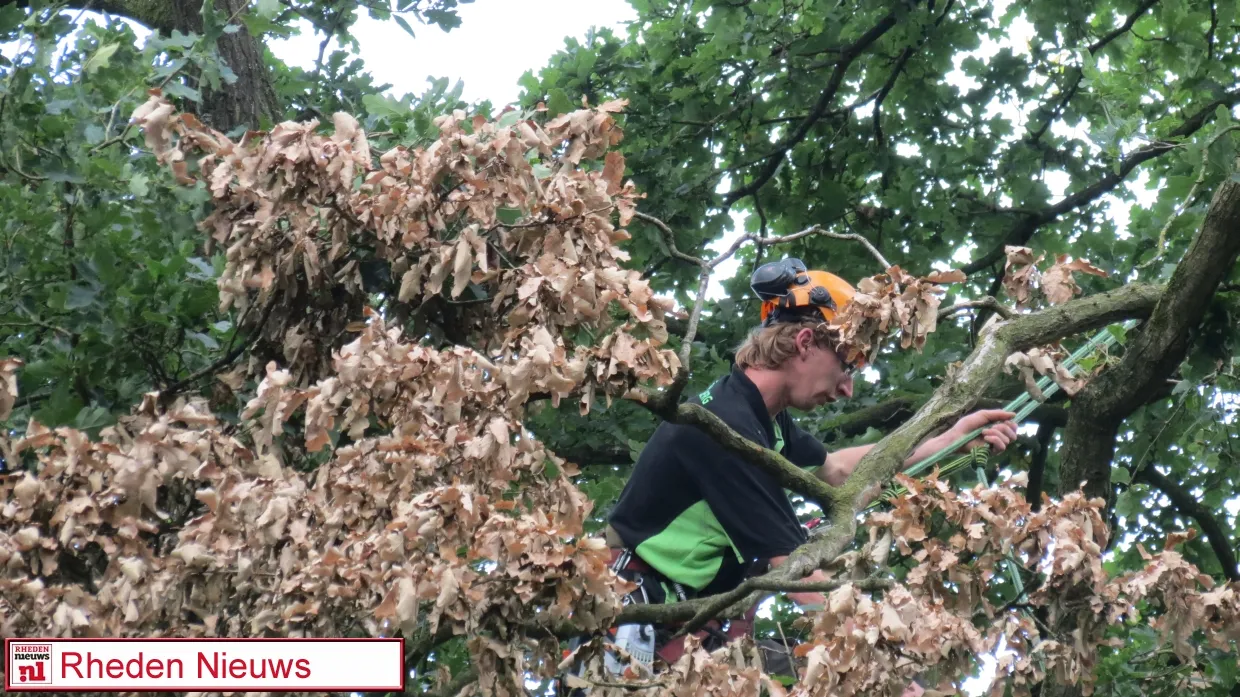 pphnrdy6lt6lvxmq2x1tolzvx 2014 07 14 camping de jutberg 001