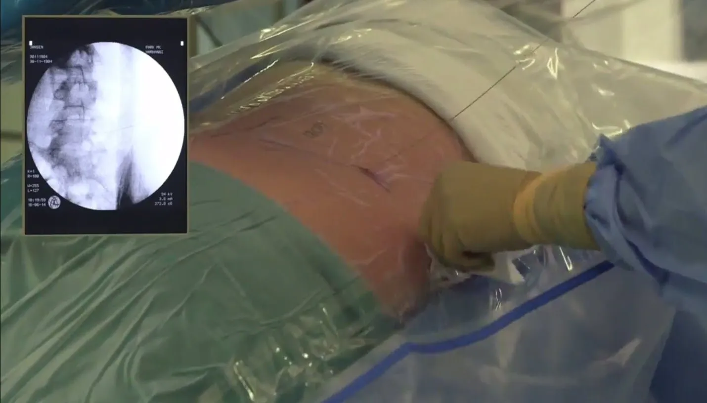 pted wwwpted studienl