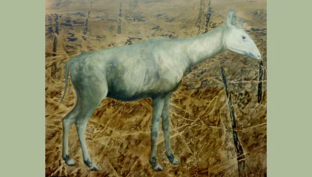 q1g92xjmgpubelnwr4qtm8mxv okapi