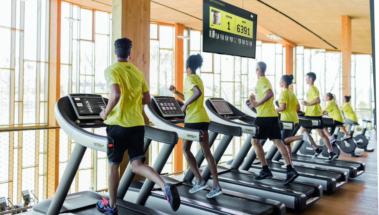 q41nh8kzg6f2vhlwzybplrh22 lomar1