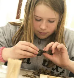 q69y5o95fdas120k9035s2j9r braakballen pluizen marc beenen