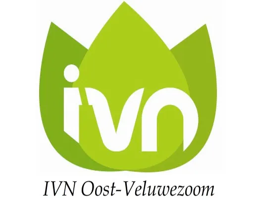 q8dih15o0geg6hokgssviw3ev 195305