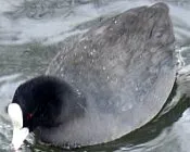 qa4h4nwqfdhlizbayebbmwo2r 120827