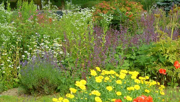 qjkockmyo915vmgnbpqjo5m71 ivn bloemen