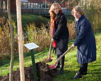 qwggue6x3yupwgjep0am8g69k 192207