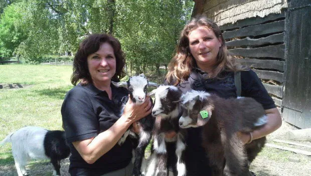 r1bqzxn57qbesysxbus480om3 schaapskudde2