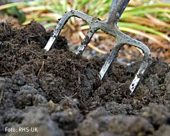 r5leeroed1hjicn7kp15dfoyo 124448