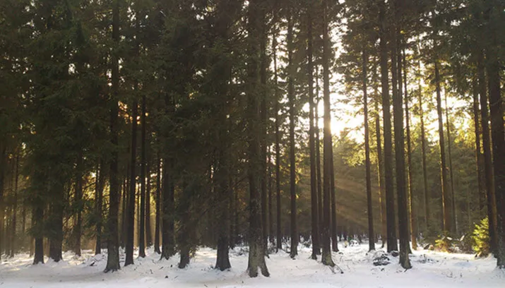 rheden eet smakelijk gewoon