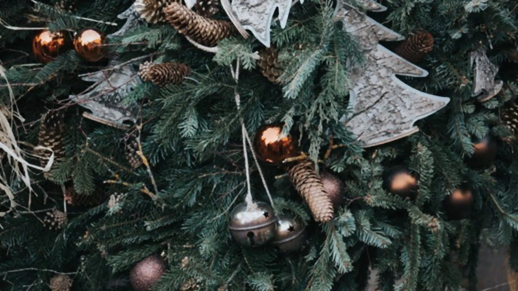 rheden eet smakelijk met kerst visualhunt