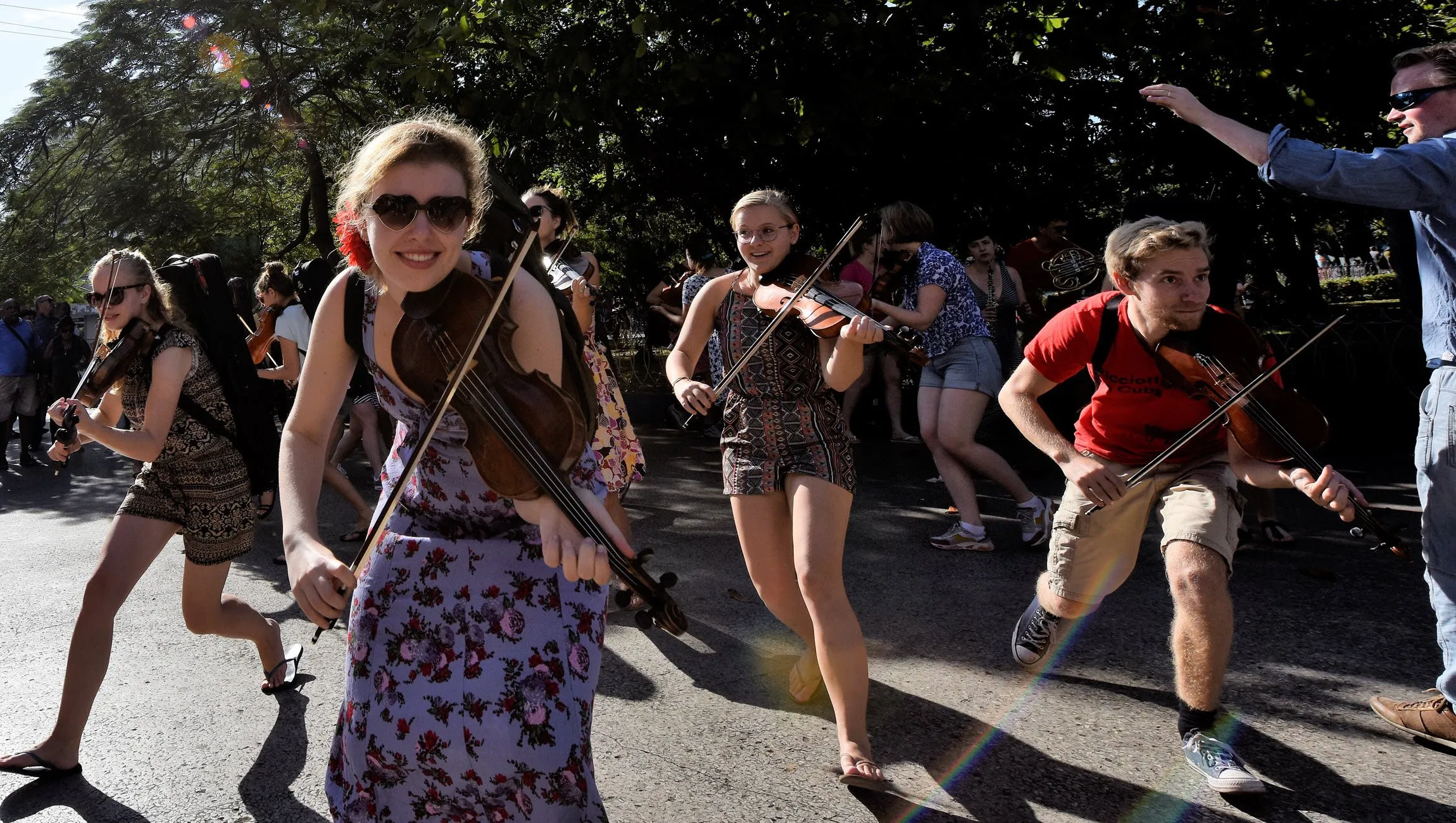 ricciotti ensemble wout nooitgedagt