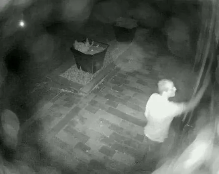 rl429gx89kh5ti3cg5u5fj6ao 155340