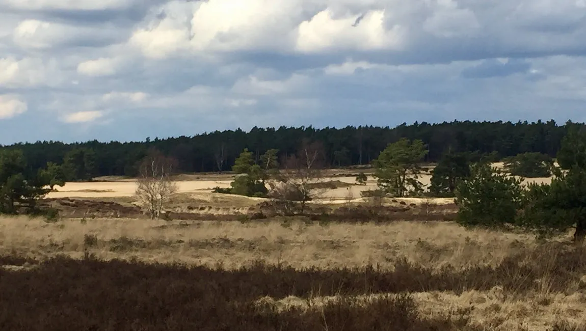 rozendaalse zand 3 ivn oost veluwezoom