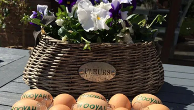 rpar9bwgdapmyv6kw73z2n8mf bootc1