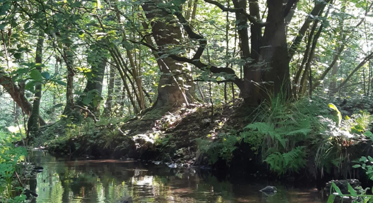 ruiterbeek raymond overmarsmarx