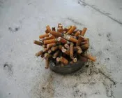 s00ho0hbx6sg71ftqagzw7v5x 152750