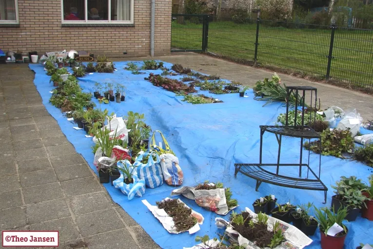 s3e9wnxbz9p5t1sno5v2kfc0f parkweg 12 10 13 003