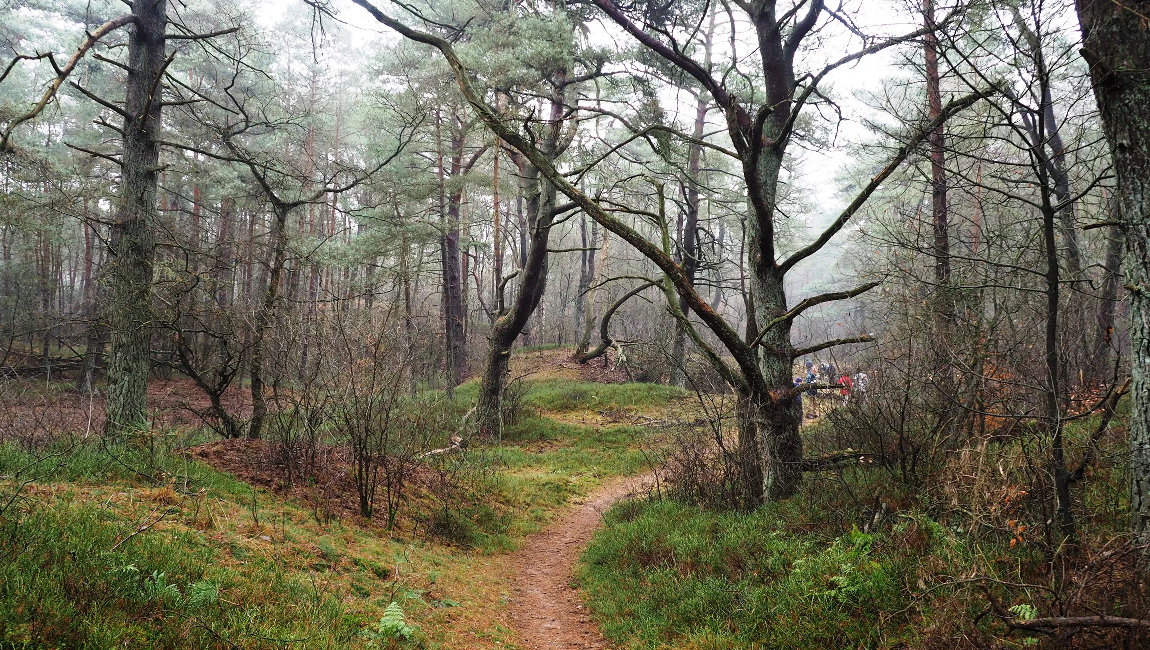 schaddeveld 01 corlene van den camp