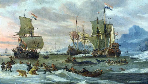 sli9gey0op0aggisa43f2hcom walvisvaart