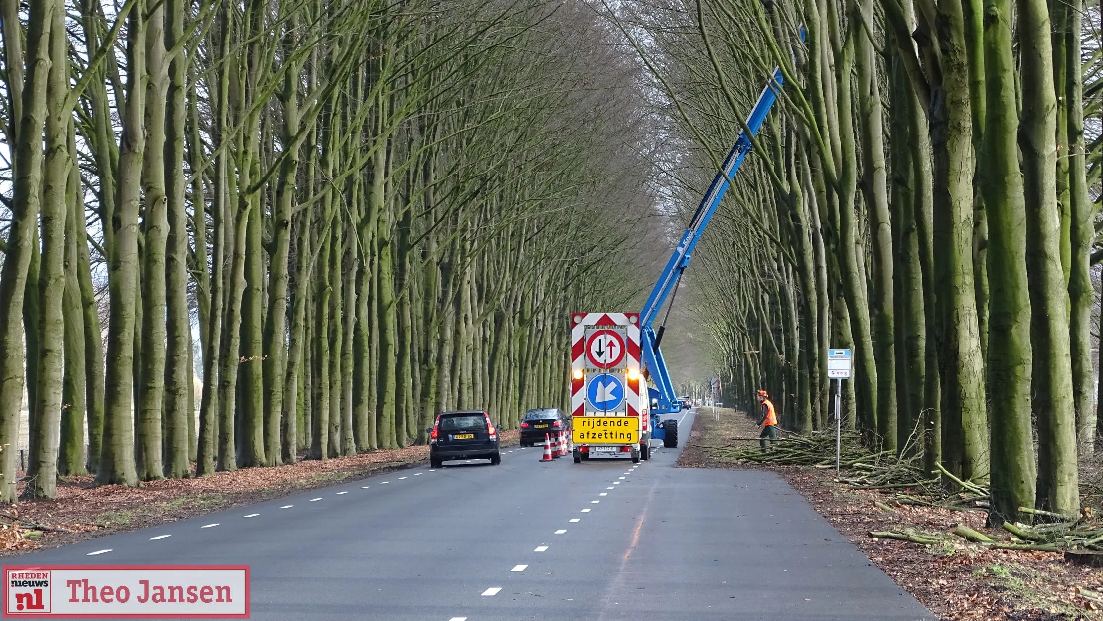 snoeiwerkzaamheden beuken middachterallee 11 02 2019 2
