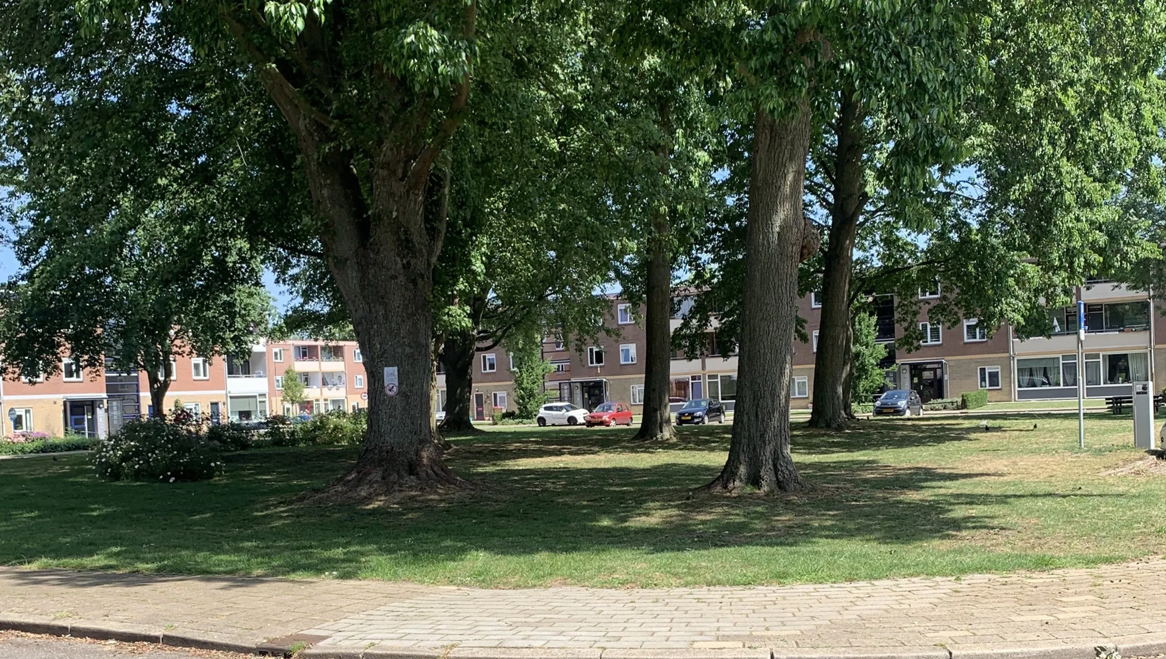 speelaangelegenheid gruttoplein velp