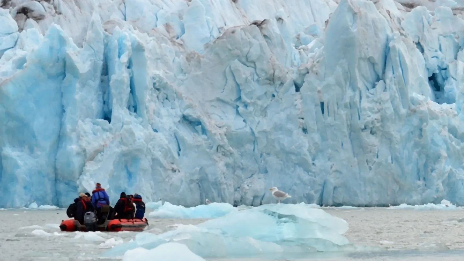 spitsbergen lezing martin idema renske idema