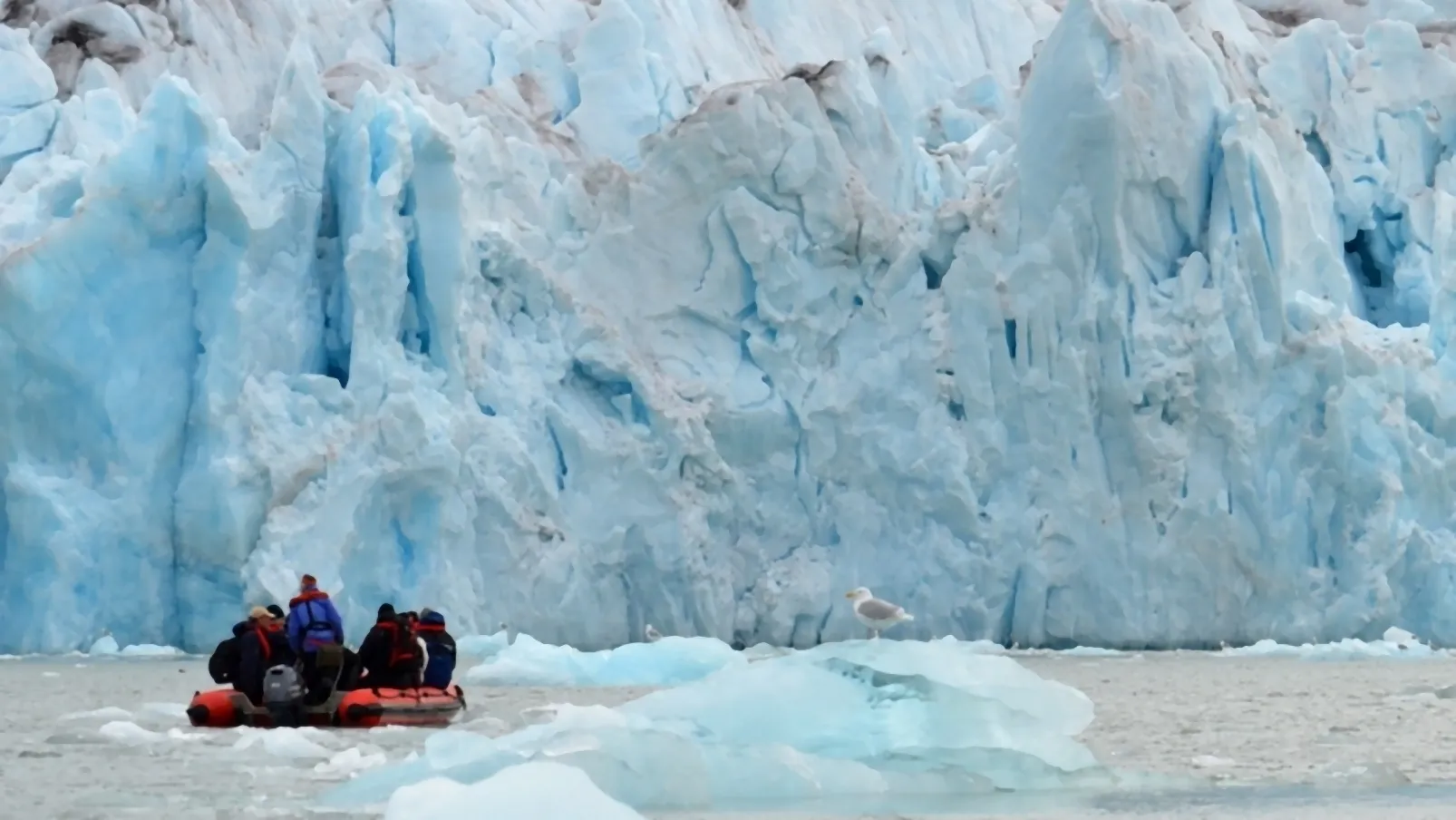 spitsbergen lezing martin idema renske idema