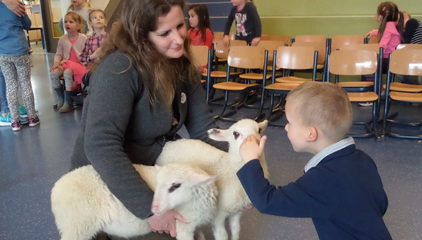 sponsorcontract mauritiusschool rhedense schaapskudde