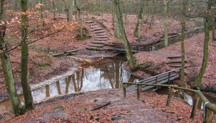 sprengen 1