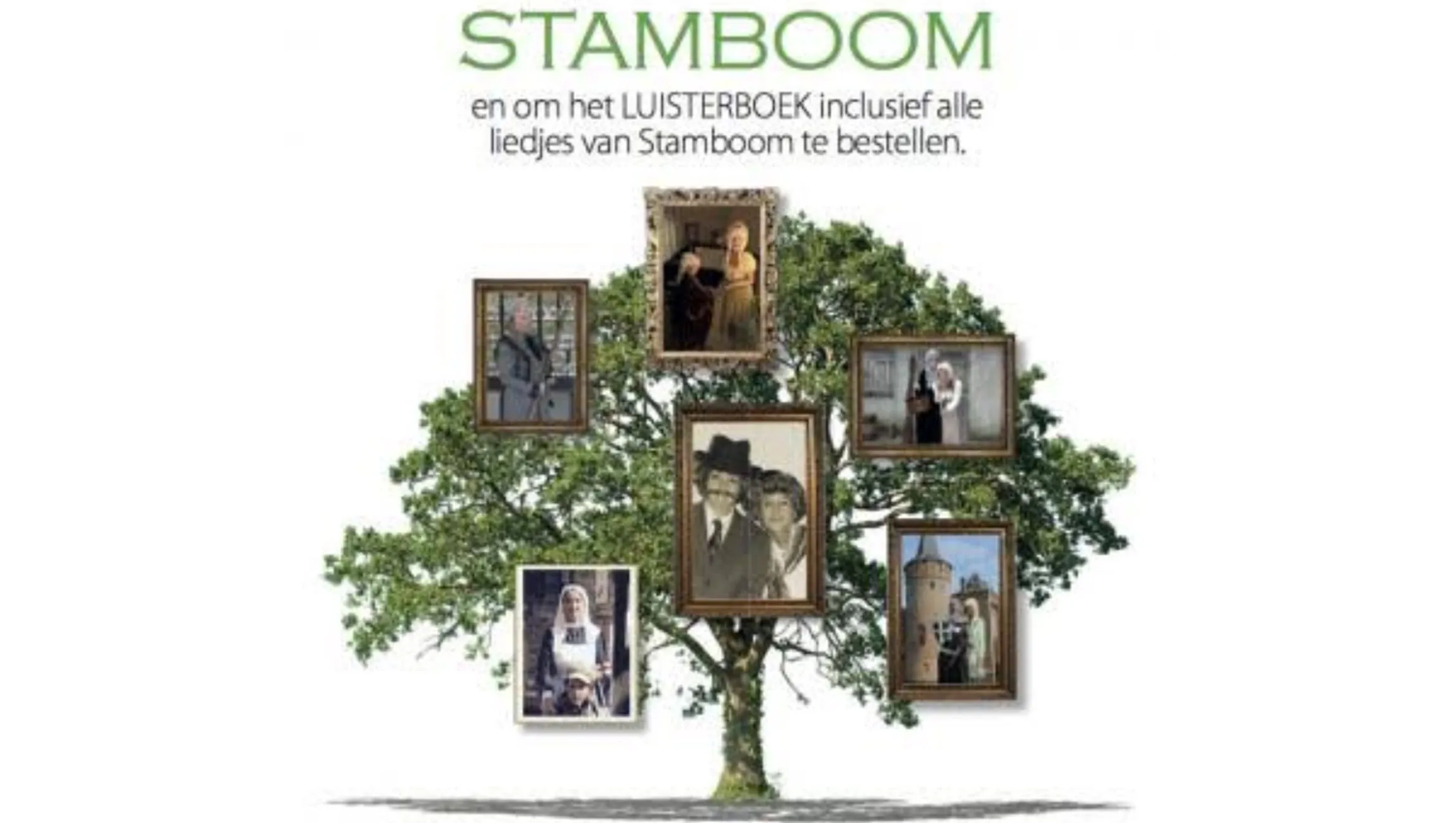 stamboom1 cultuurbedrijf riqq