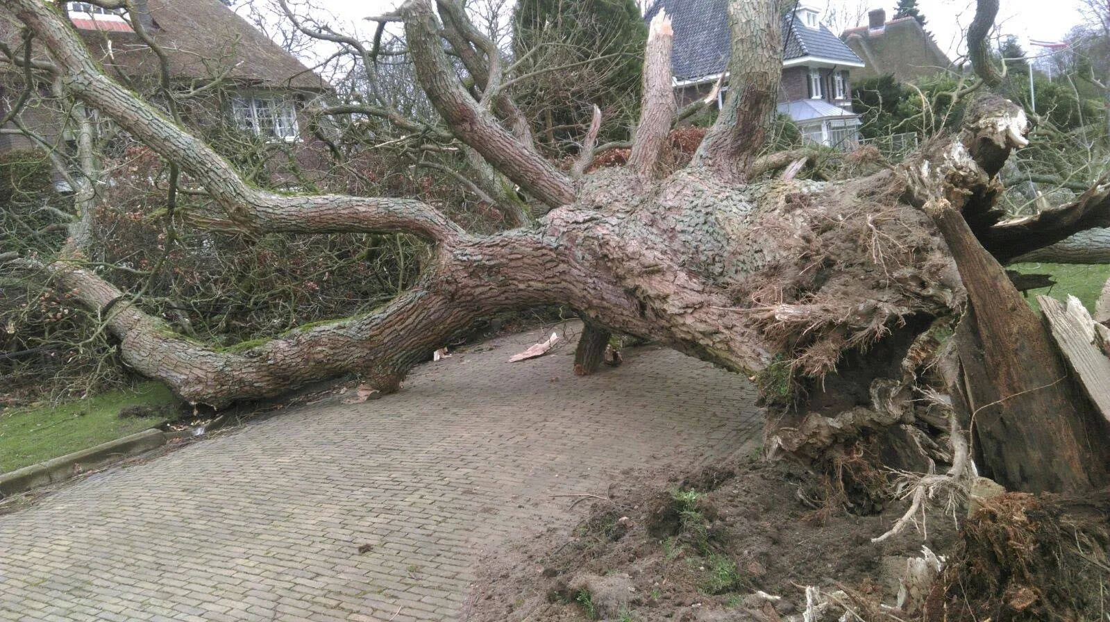 stormschade gemeente rheden 1